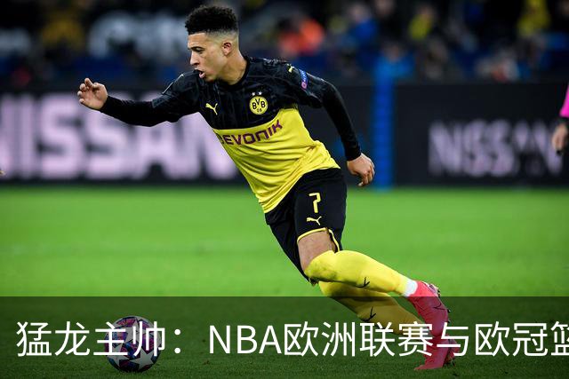 猛龙主帅：NBA欧洲联赛与欧冠篮携手是最优解 欧洲球迷群体很出色