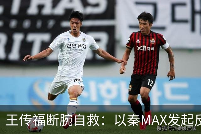 王传福断腕自救：以秦MAX发起反攻