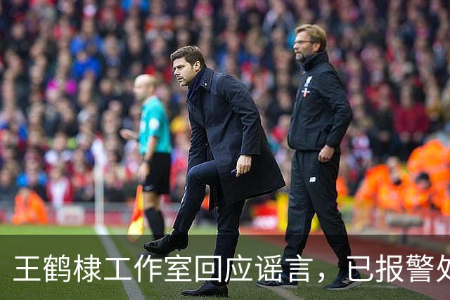 王鹤棣工作室回应谣言，已报警处理不实信息