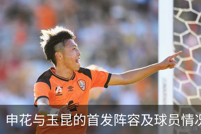 申花与玉昆的首发阵容及球员情况