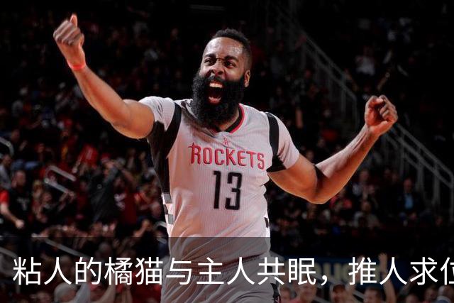 粘人的橘猫与主人共眠，推人求位引发全网热议