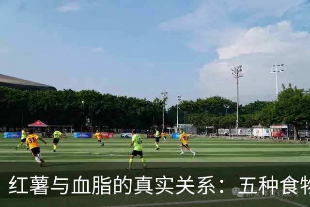 红薯与血脂的真实关系：五种食物应避免