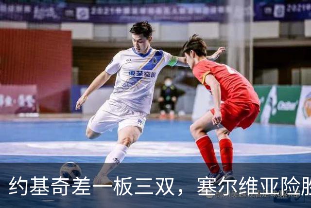 约基奇差一板三双，塞尔维亚险胜法国90-87
