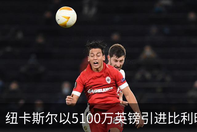 纽卡斯尔以5100万英镑引进比利时前锋帕尔多
