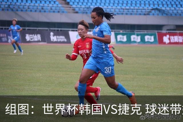 组图：世界杯韩国VS捷克 球迷带娃加油助威