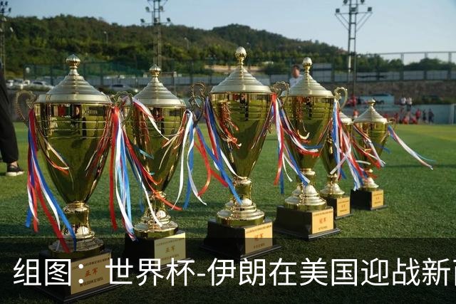组图：世界杯-伊朗在美国迎战新西兰 球迷热情助威