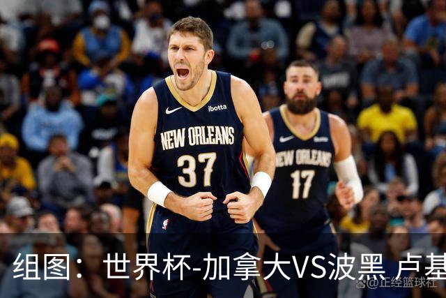 组图：世界杯-加拿大VS波黑 卢基奇头槌破门