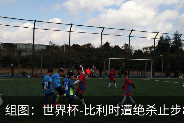 组图：世界杯-比利时遭绝杀止步8强 黄金一代正式谢幕