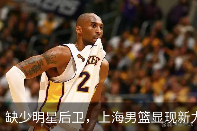 缺少明星后卫，上海男篮显现新力量