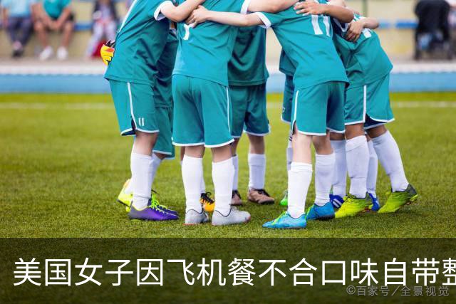 美国女子因飞机餐不合口味自带整只烤鸡引发争议