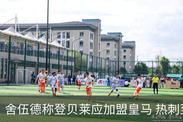 舍伍德称登贝莱应加盟皇马 热刺至今无人能替代他