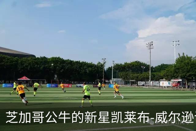 芝加哥公牛的新星凯莱布-威尔逊训练动态分享