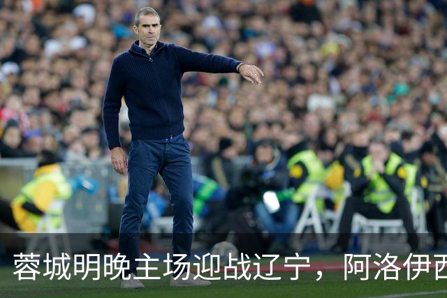 蓉城明晚主场迎战辽宁，阿洛伊西誓言遏制对手反击