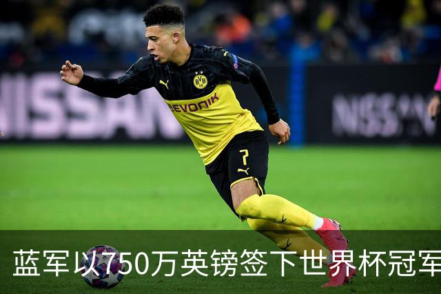 蓝军以750万英镑签下世界杯冠军门将