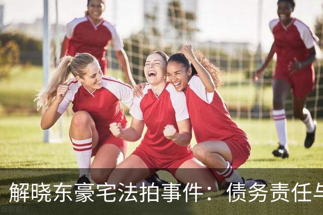 解晓东豪宅法拍事件：债务责任与个人担当