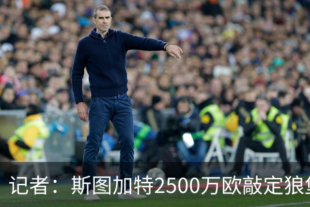 记者：斯图加特2500万欧敲定狼堡前锋佩伊契诺维奇，48小时内体检