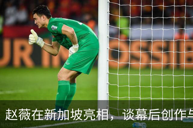 赵薇在新加坡亮相，谈幕后创作与未来规划