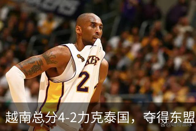 越南总分4-2力克泰国，夺得东盟杯