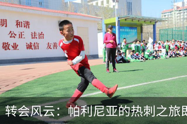 转会风云：帕利尼亚的热刺之旅即将结束，他渴望重返葡萄牙体育