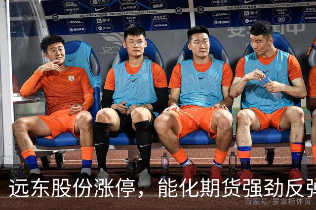 远东股份涨停，能化期货强劲反弹，社保基金积极增持