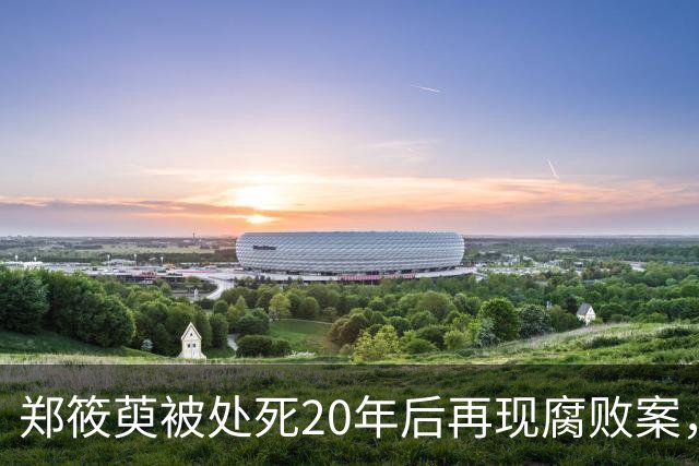 郑筱萸被处死20年后再现腐败案，毕井泉获刑14年