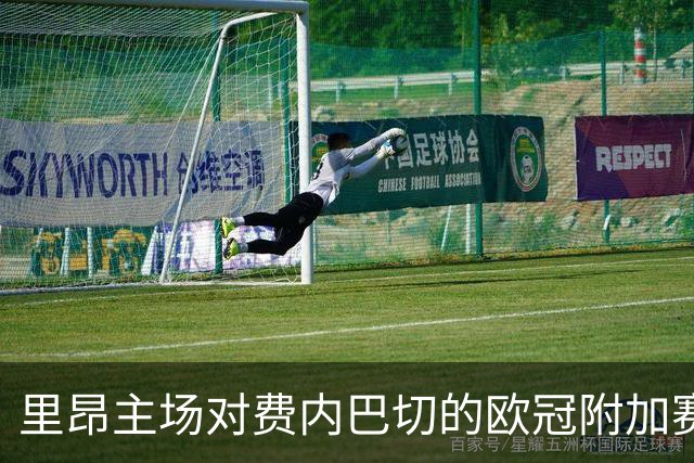 里昂主场对费内巴切的欧冠附加赛被定为高风险