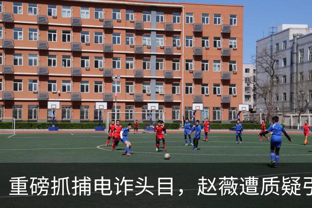 重磅抓捕电诈头目，赵薇遭质疑引发广泛关注