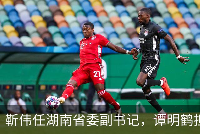 靳伟任湖南省委副书记，谭明鹤担任广州市委常委、秘书长