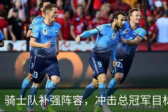骑士队补强阵容，冲击总冠军目标明确
