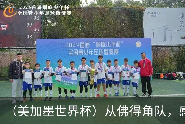 （美加墨世界杯）从佛得角队，感受足球的动人
