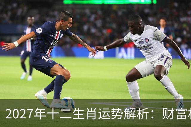 2027年十二生肖运势解析：财富机遇与防范建议