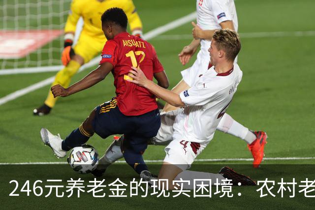 246元养老金的现实困境：农村老人的生活压力