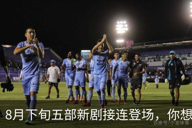 8月下旬五部新剧接连登场，你想追哪一部？