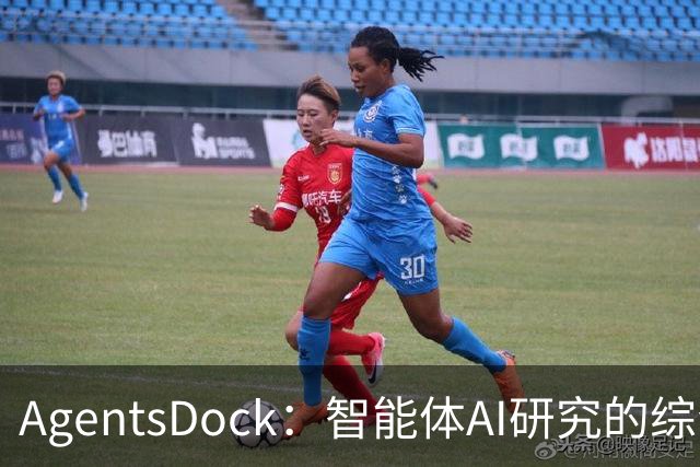 AgentsDock：智能体AI研究的综合开发环境